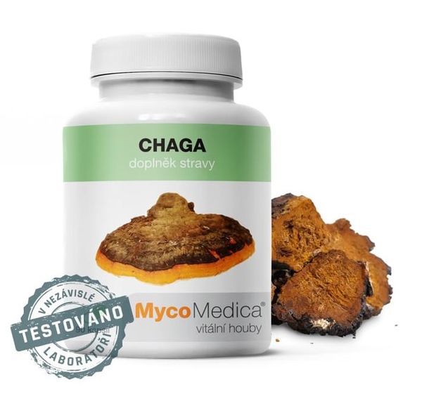 Chaga extrakt z húb, MycoMedica